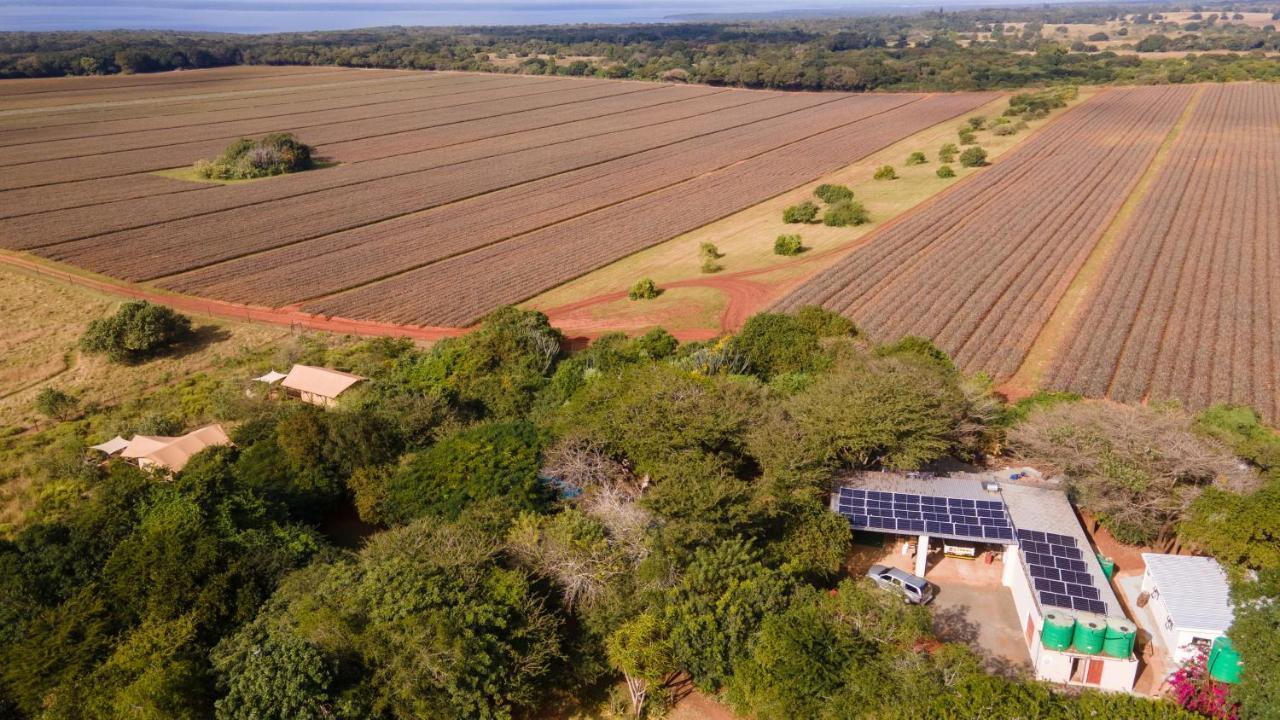 מלון Hluhluwe Bush Camp מראה חיצוני תמונה